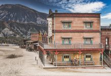 The Power of the Dog