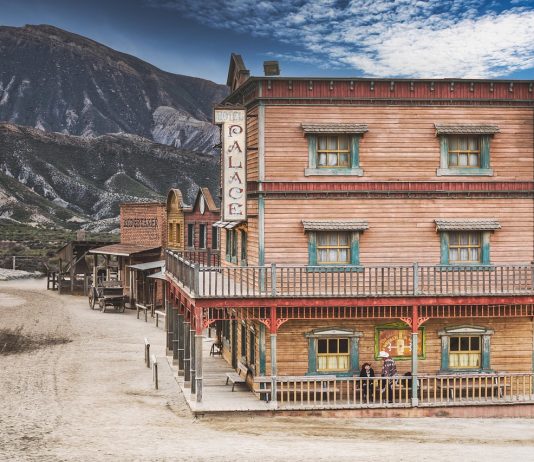 „The Power of the Dog” – un western psihologic despre putere, masculinitate și vulnerabilitate The Power of the Dog