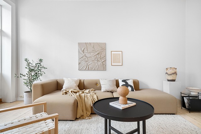 amenajarea-unui-living-minimalist Living minimalist