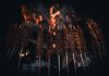 temperaturi interne carne